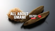 業務用削り節製造の小林食品から世界へ和食・鰹節を紹介　YouTubeチャンネル「All About Umami」を開設、動画配信開始