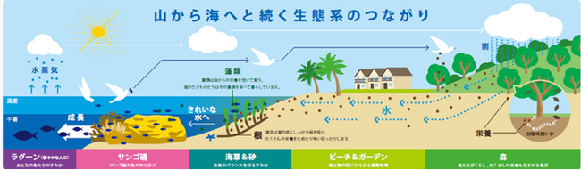 海洋における事業を通じたネイチャーポジティブへの貢献「パラオ パシフィック リゾート」に関するTNFD開示を実施