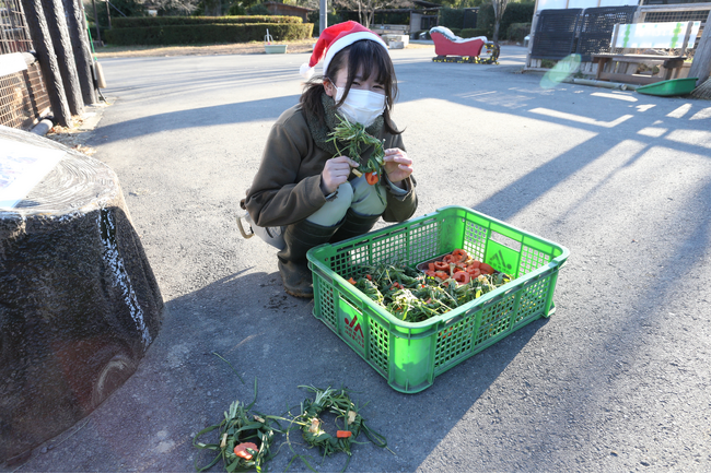 群馬サファリパーク、動物たちと過ごす特別なクリスマス