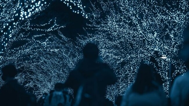 夜の世界を光で彩るイルミネーションについて大調査!【1000人アンケート】
