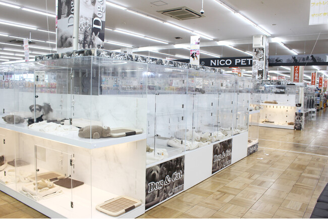 P’s-first春日部店オープンのお知らせ