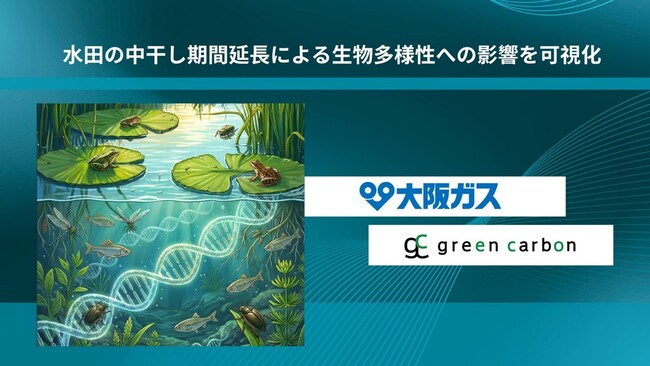 Green Carbon株式会社は、大阪ガス株式会社と連携し、水田の中干し期間延長による生物多様性への影響を可視化