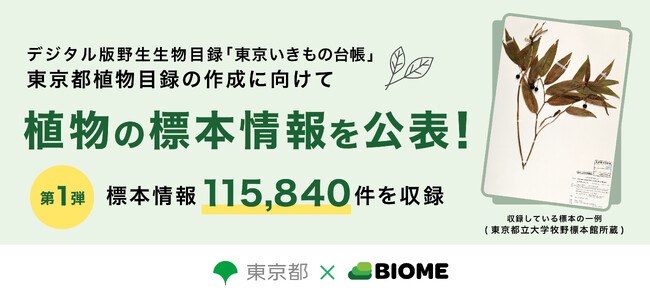 東京都 × バイオーム　東京の植物相を明らかにするために「東京いきもの台帳」植物の標本情報を公表！
