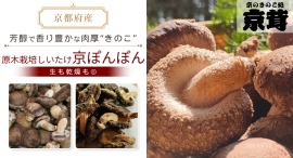 手間暇を要する“原木栽培”で理想の味を追求！品評会2年連続受賞の原木しいたけ「京ぽんぽん」など、きのこブランド「京茸」の商品がポイ活サイトPotatoに登場
