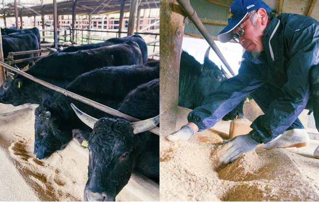 福島牛・新ブランド「福粕花」とは？“新たな挑戦”の現場を訪ねて