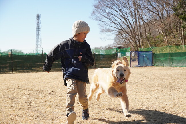 特設ドッグラン期間限定でOPENしました（国営ひたち海浜公園）