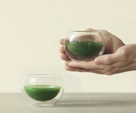 マッチャオロジストの抹茶