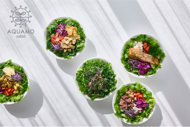 アクアポニックス産野菜を使ったサラダボウル店「AQUAMO salad」が2026年2月虎ノ門にオープン