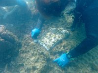 【オリックス自動車】「美ら海サンゴ大作戦2025」キャンペーン結果報告
沖縄県浦添市港川の海に160本の養殖サンゴを移植