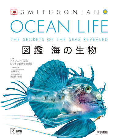 ようこそ、広くて深い海の世界へ！　多様性に満ちた動物・植物たちを、圧倒的なビジュアルで紹介。『OCEAN LIFE 図鑑 海の生物』4刷出来！