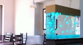 【福島県限定】オフィス・医療・飲食店に“癒し”を。人工クラゲ水槽の無料導入相談を受付（〜1/30〈金〉）｜想芸館