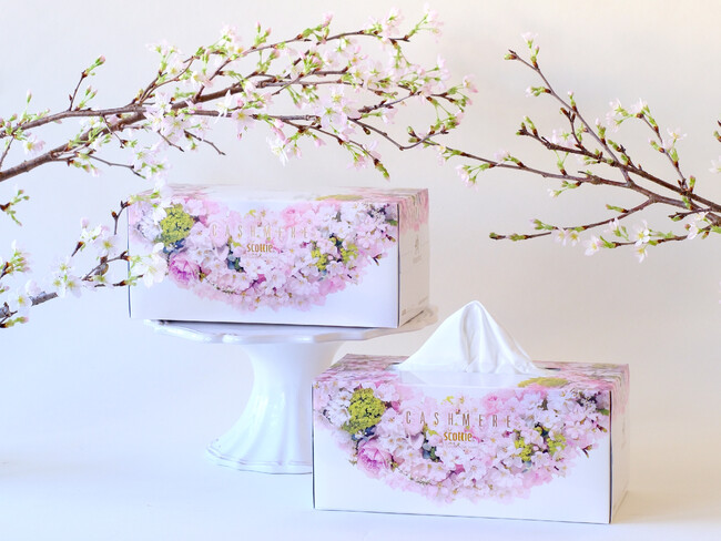 第一園芸が監修『スコッティ カシミヤ サクラ』のティシューに、桜を中心とした花々のリースで彩られた特別パッケージが登場～ひと足早い春の訪れを暮らしに～
