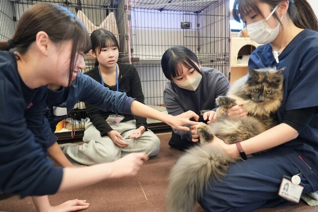 【姉妹校コラボ授業】「動物×こども」で「命」について考える