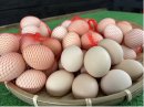 山梨県産の卵の特売開催!