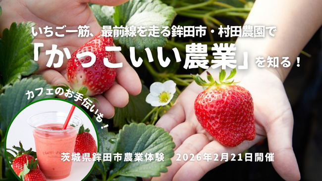 一流レストランも認めるいちごづくりの匠・村田農園（茨城県鉾田市）で「いちご収穫とカフェ運営」を体験