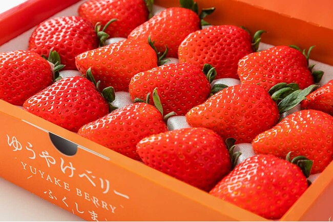 福島の新しいいちご「ゆうやけベリー」1月10日(土)から日本橋ふくしま館MIDETTEでフェア開催！
