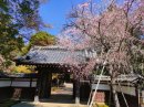 三光院山門