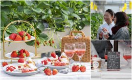 いちごBonBonBERRYのFarm to Table ～ファーム トゥ テーブル～