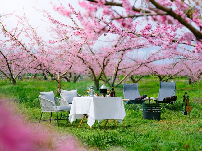 【星のや富士】360度桃の花に囲まれた特等席で美食を堪能する「桃源郷グランピングランチ」1日1組限定で開催