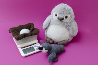 【京都水族館】京都水族館のペンギンが生まれるまでを深掘り!
特別展示「大きくなってね!ケープペンギン」開催
