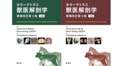 【新刊】獣医解剖学書の世界的スタンダードの最新版！　『カラーアトラス獣医解剖学 増補改訂第３版』を刊行