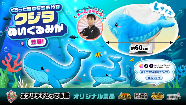 思わず抱きしめたくなる全長約60cm！くりっとした目が特徴の「クジラぬいぐるみ」がエブリデイオリジナル景品として登場