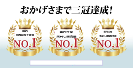 3部門で国内「3冠」を達成