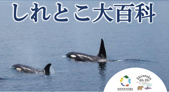 【知床の日って？世界自然遺産登録20年！？】知床の20年を知れる「しれとこ大百科」開催！