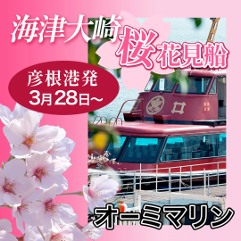 海津大崎