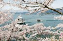 海津大崎