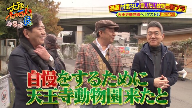 橋下徹が自慢連発！？　天王寺動物園でおっさん大はしゃぎ！　動物クイズに渡辺正行のコーラ早飲みも飛び出す珍道中