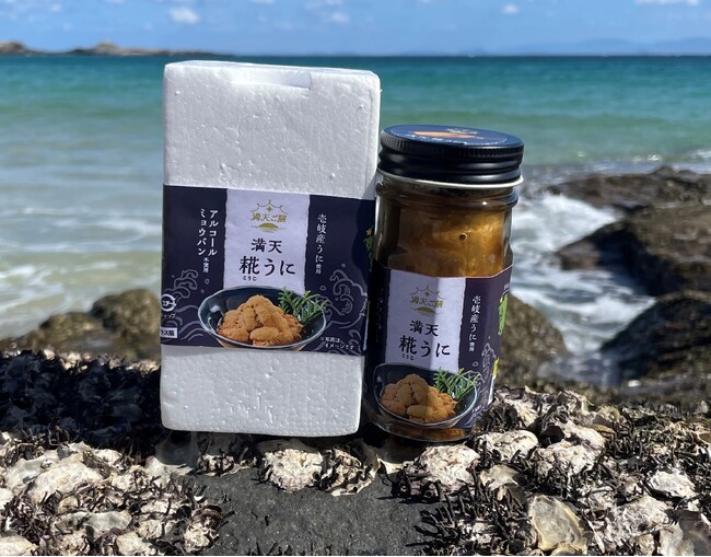 【日本初】厄介者のウニ「ガンガゼ」を100%活用し、海の砂漠化を救う！長崎・壱岐島で「磯焼け対策×地域循環」プロジェクトがクラウドファンディングを開始