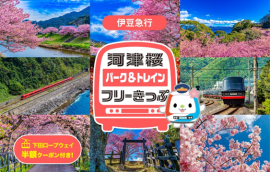 「河津桜パーク&トレインフリーきっぷ」イメージ