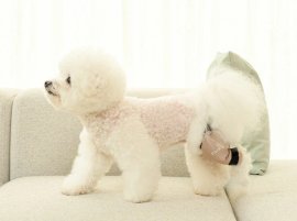01_メイン_着用イメージ