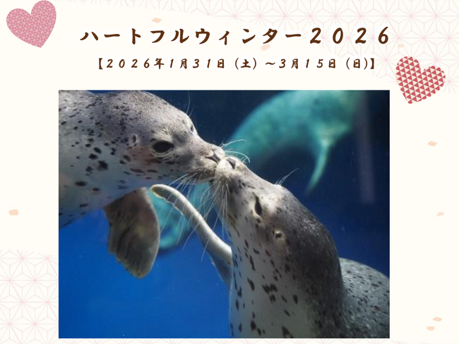 【上越市立水族博物館 うみがたり】ハートフルウィンター２０２６【２０２６年１月３１日（土）～３月１５日（日）】