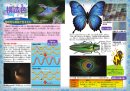 ずかん「色」(技術評論社) 構造色 ずかん「色」(技術評論社) 構造色