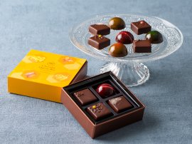 はちみつと果実のチョコレート はちみつと果実のチョコレート