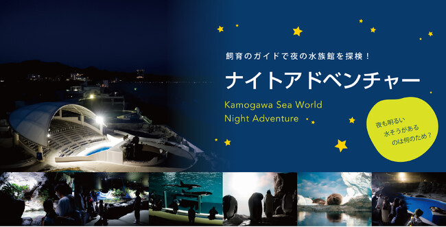 【鴨川シーワールド】夜も明るい水そうがあるのは何のため？お答えします！飼育のガイドで夜の水族館を探検「春のナイトアドベンチャー」開催