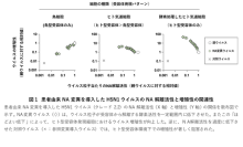 鳥インフルエンザウイルスがヒトに感染しやすくなる「初期段階」を解明