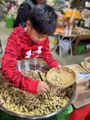 お箸でつまみ取り・落花生 お箸でつまみ取り・落花生