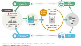 スキーム概略図