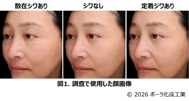 「散在シワ」と「定着ジワ」では肌やその人の印象に及ぼす影響が異なることを発見