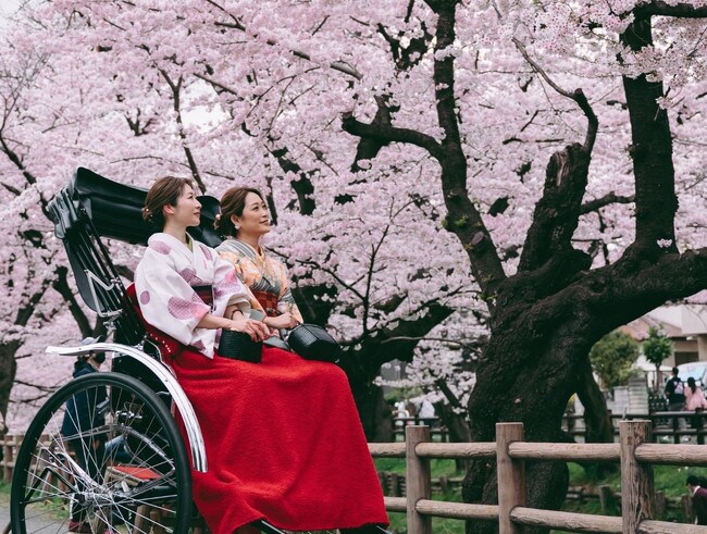 【川越プリンスホテル】人力車で巡る春の川越 静寂と癒しの宿泊プラン「小江戸春旅 ~人力車で朝桜・こころ整う週末旅~」を販売