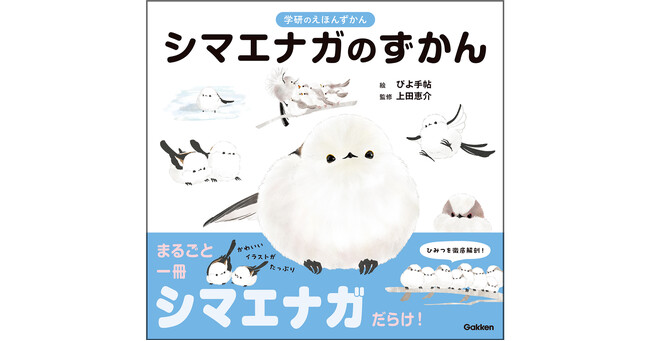 【可愛すぎて予約殺到(ハート)】『学研のえほんずかん　シマエナガのずかん』の発売を記念して、サイン会や先行販売の実施が決定！