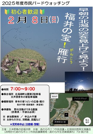 福井の宝！雁行ウォッチング