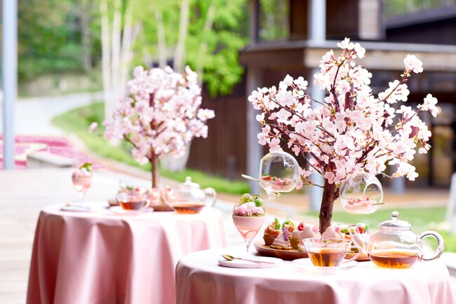 【トマム】新登場の桜と団子のパルフェや限定のフレーバードティーを味わえる「お花見団子アフタヌーンティー」を提供