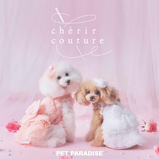 愛犬との春を華やかに彩る新ラインアップ　　「ペットパラダイス」のプレステージライン『cherircouture（シェリールクチュール）』2026年スプリングコレクション発売