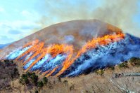 一年に一度しか見られない！伊東の春の風物詩「大室山　山焼き」が2月8日(日)開催！