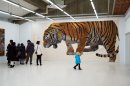 昨年度の展示の様子 昨年度の展示の様子