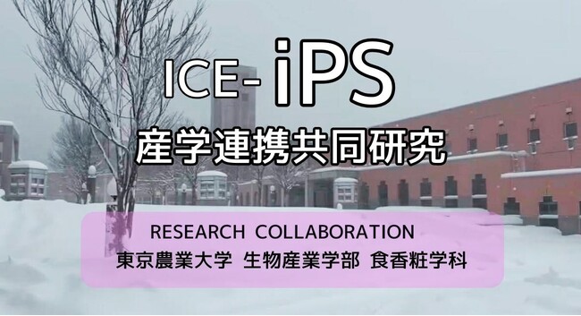 【世界初への挑戦】「最先端iPS技術」×「オホーツクの実学」が融合。株式会社ICEと東京農業大学 生物産業学部 食香粧化学科が、次世代の細胞培養上清液に関する共同研究を開始